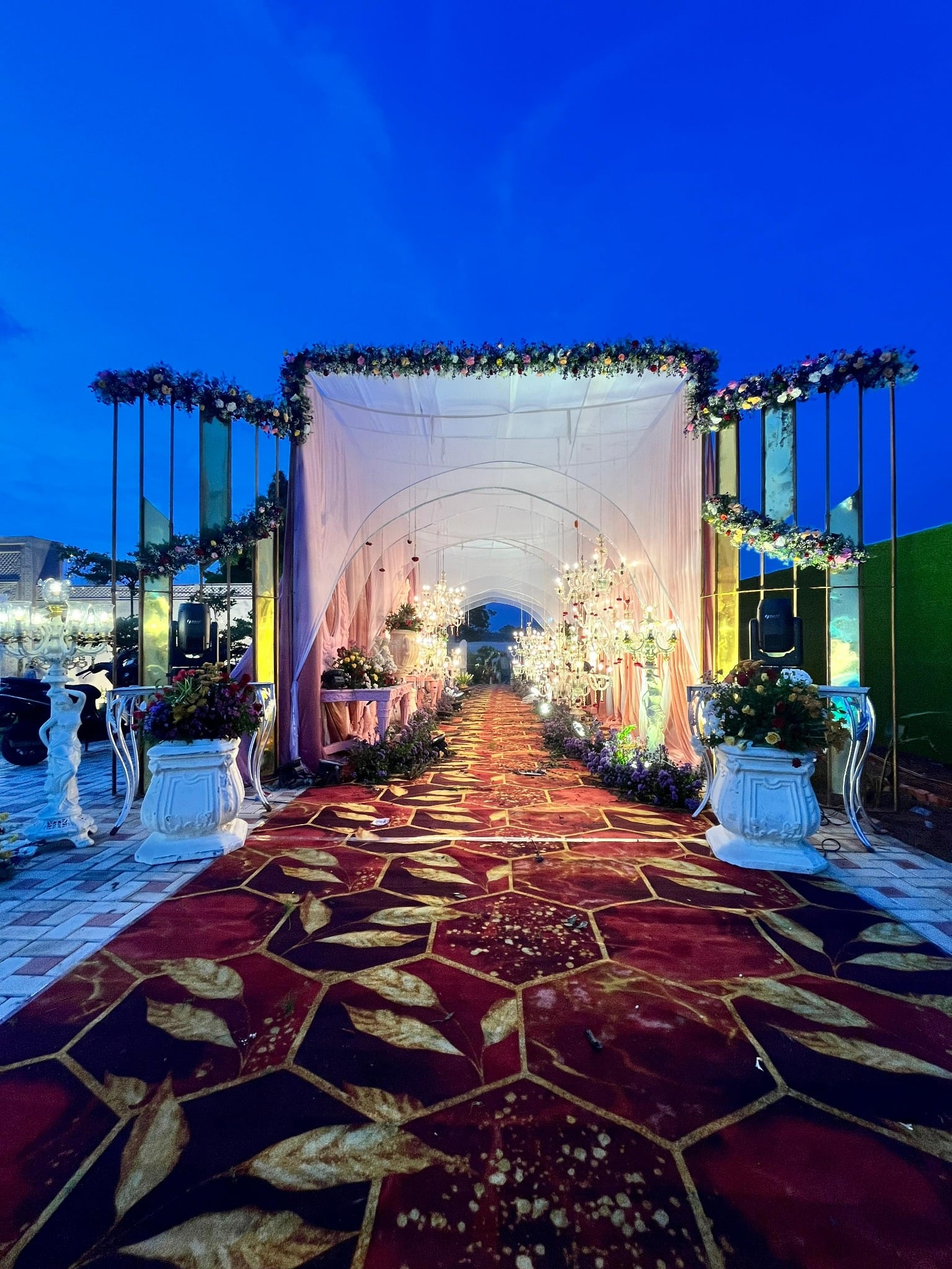 Spectacular Arrival